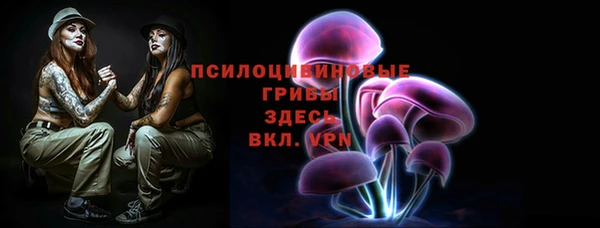 мет Инта