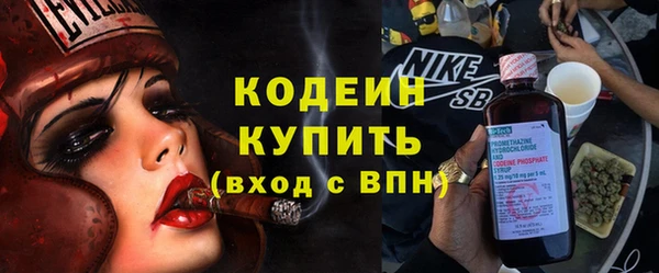 мет Инта