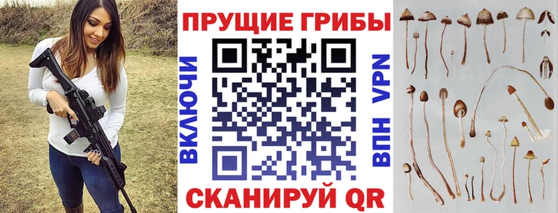 Галлюциногенные грибы Magic Shrooms Рыльск